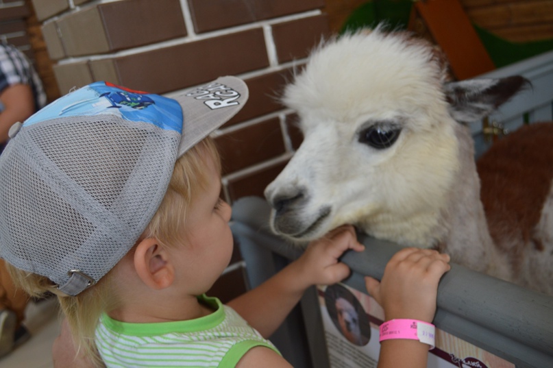 Наталья Лебедева | Чапаевск