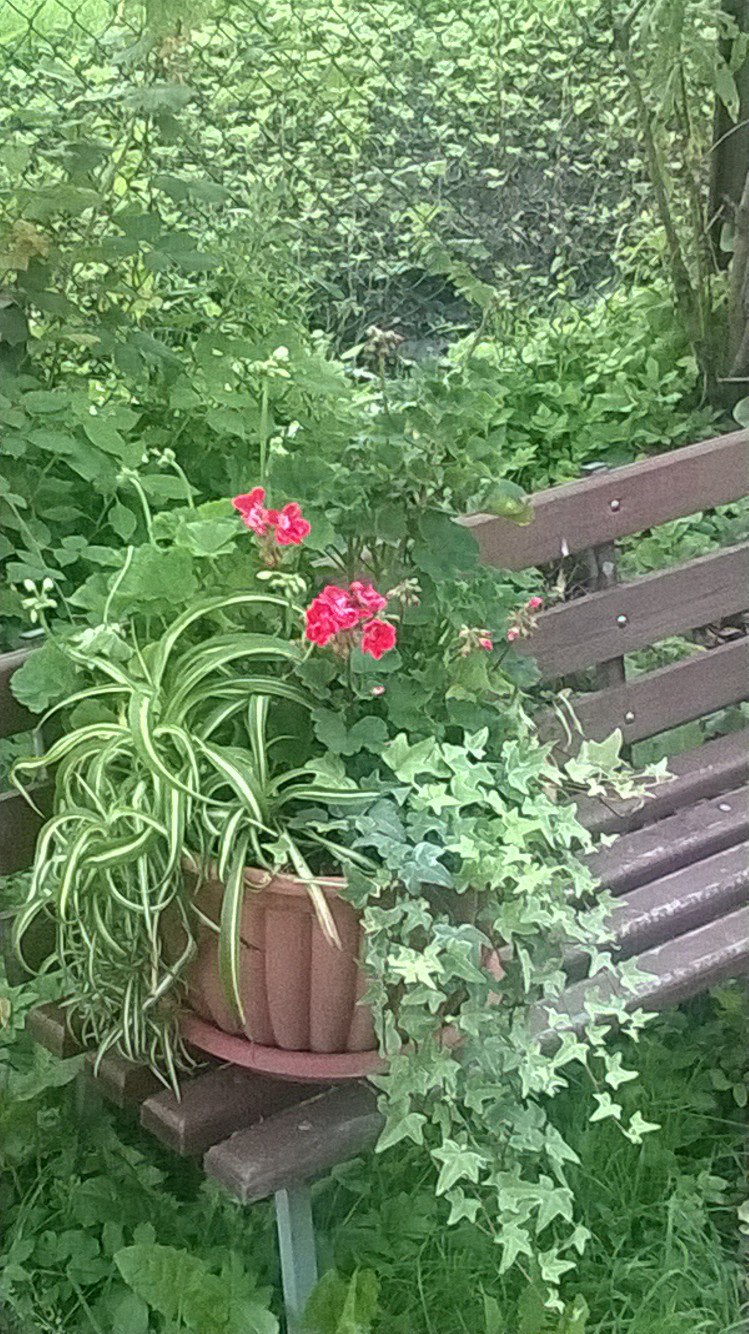 Владимир Филимонов | Санкт-Петербург