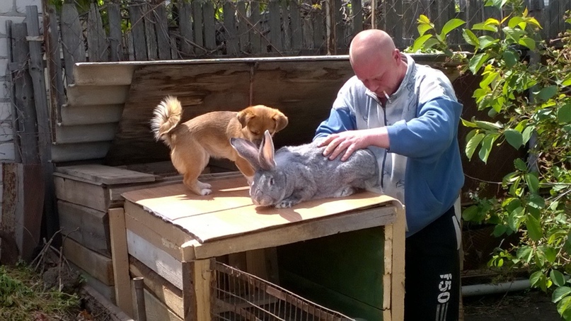 Елена Ларионова | Камышин