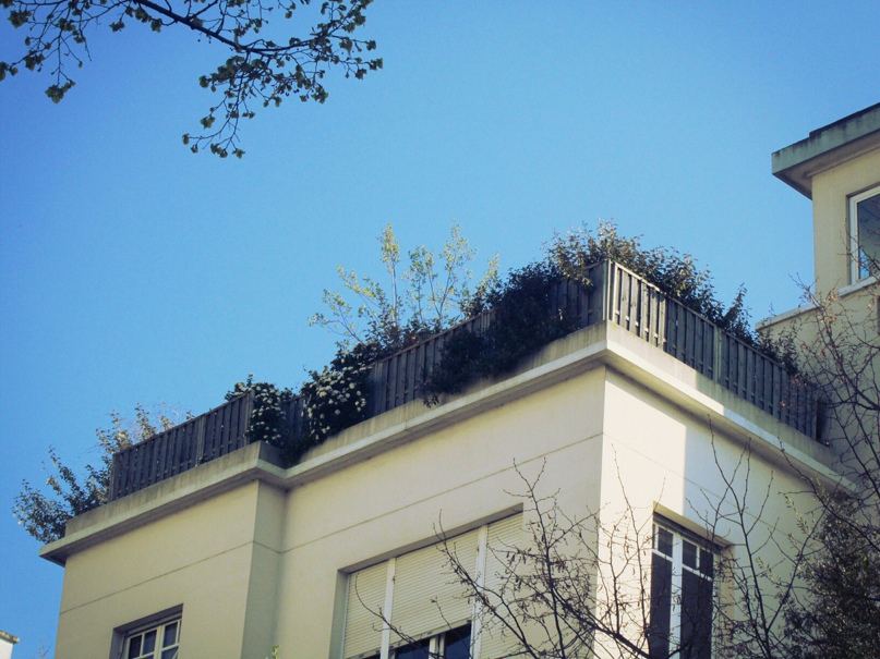 Алиса Малиновская Витальевна | Санкт-Петербург