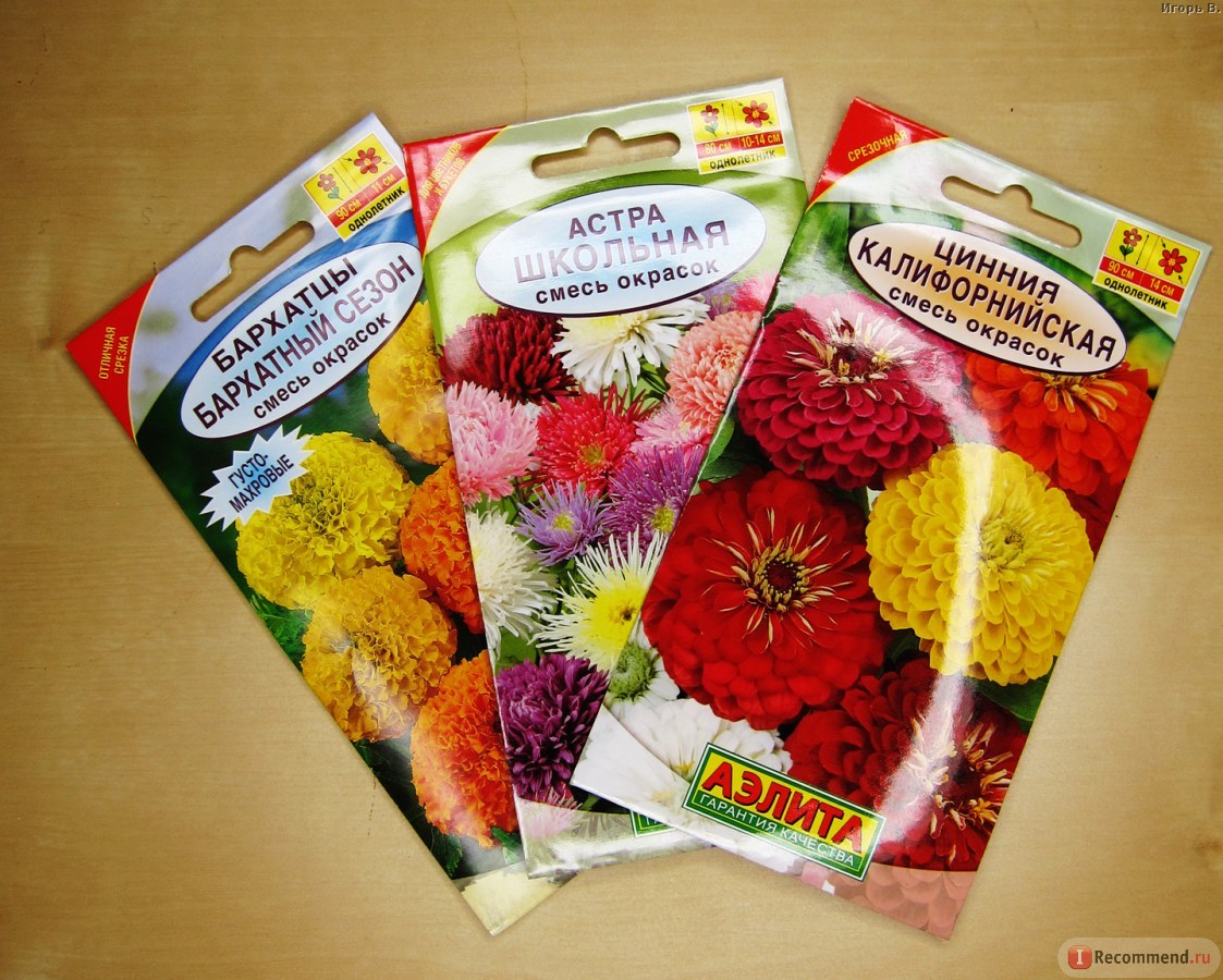 Какие семена цветов фото Какие семена цветов фото