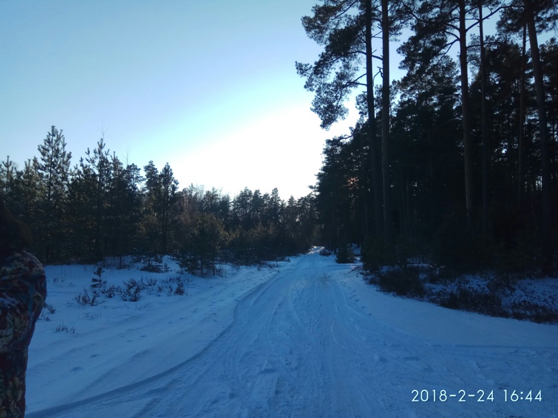 Андрей Сарычев | Советск