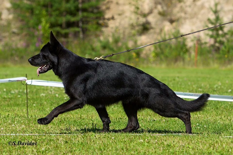 Марина Богатырь | Санкт-Петербург