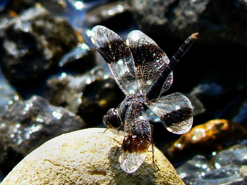 Ульяна Филиппова | Санкт-Петербург