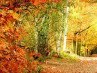 Наталья Новикова | Муром