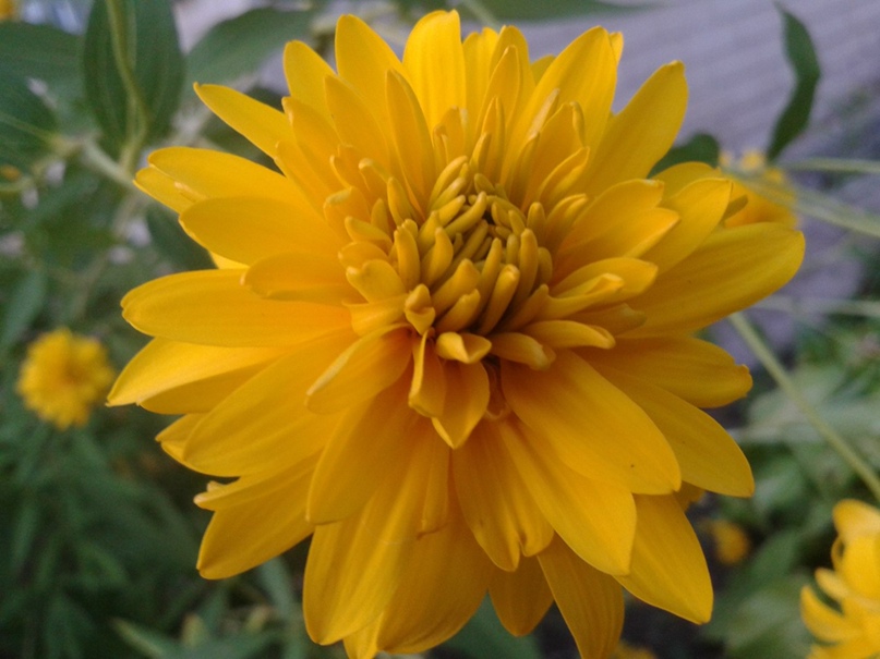 Юля Демченко | Мировое