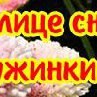 Евгения Кондратьева | Шуньга