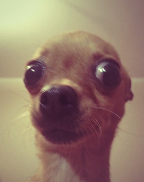 Ксения Зотова | Первоуральск