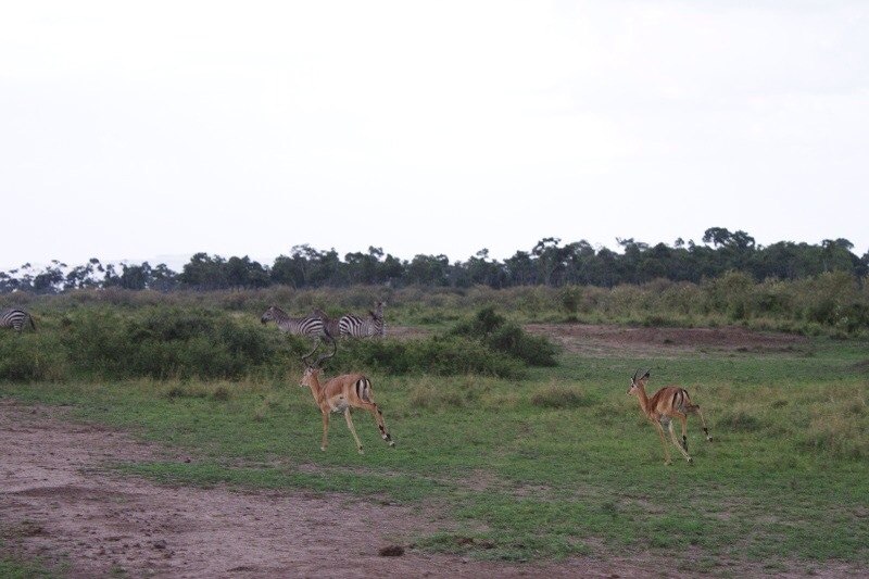 Максим Юдин | Нижний Новгород