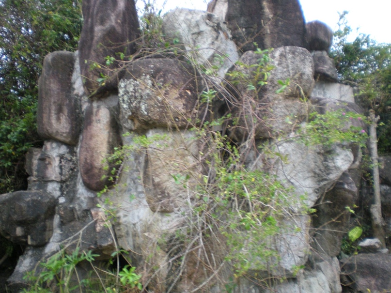 Татьяна Котлярова | Новосибирск