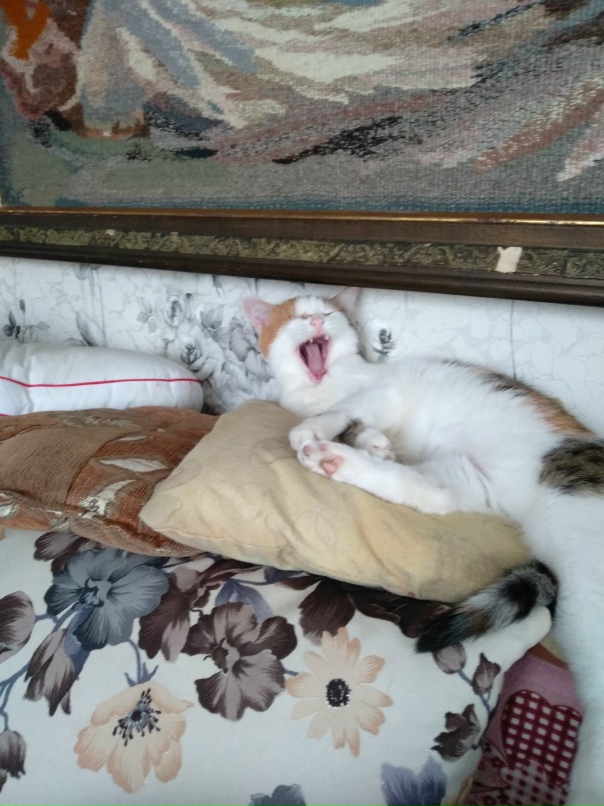 Ирина Голунова | Челябинск