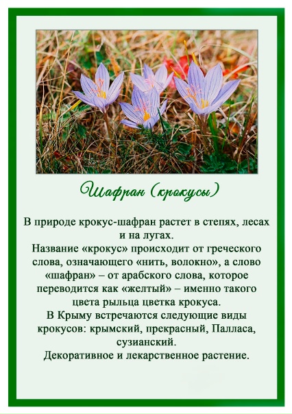 10 удивительных фактов о Крыме - Nissan Patrol (Y61), 4,2 л, 2006 года путешеств