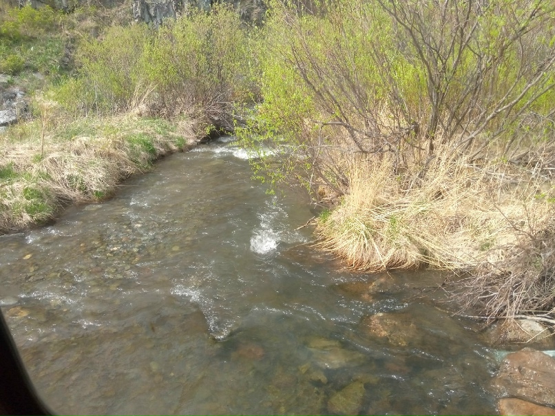 Даниил Васильев | Новосибирск