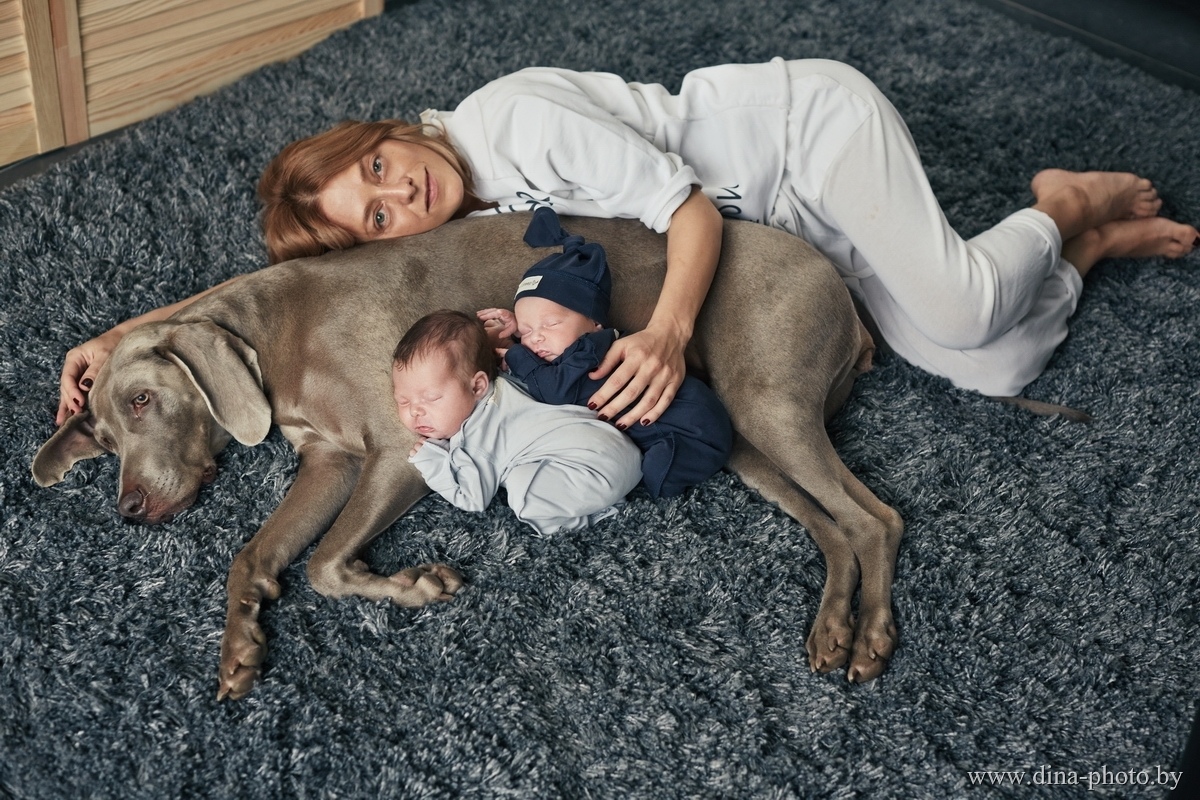 AK In a heartwarming scene, Joey, the dog, tenderly places himself as a gentle cushion for two peacefully sleeping infants, creating an indelible impression on their mother and resonating profoundly with countless others through his poignant demonstration of empathy and compassion.