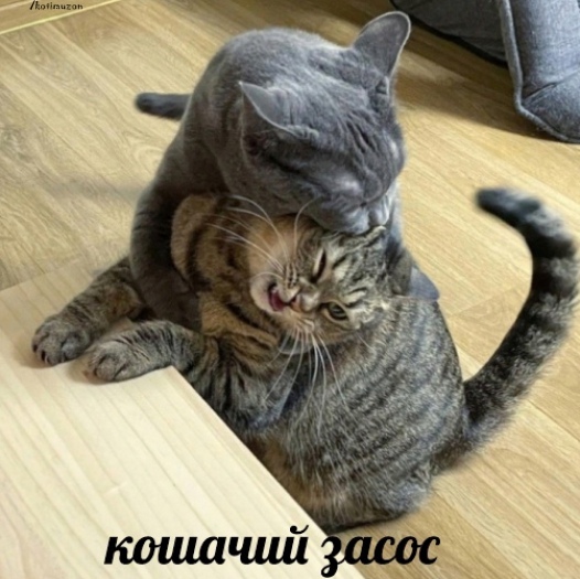 😀теперь вы знаете что это!