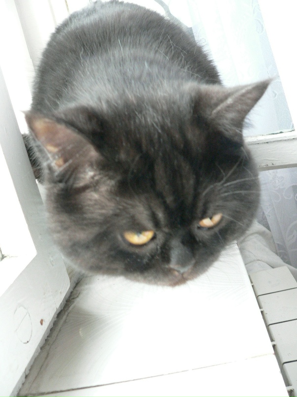 Юрий Москвин | Омск