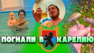 Семьёй в Карелию! Лес, Сауна, Бассейн. Русская Финляндия 2023