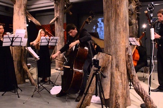 2016-03-06 Венский бас и ансамбль Barocco Concertato  в Эрарте 11