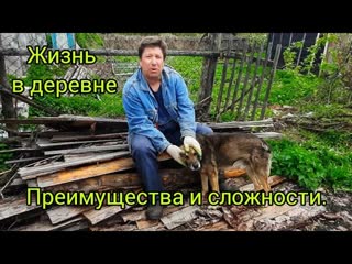 УРОЖАЙ в ДЕРЕВНЕ:  как я выращиваю РЕДИС и МОРКОВЬ.  Садоводство для начинающих. Жарим шашлыки.