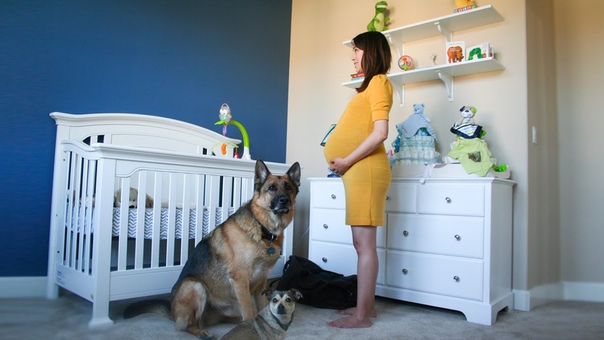 Time Lapse: Pregnant to Baby in 90 seconds. Photo a