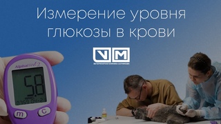Измерение уровня глюкозы