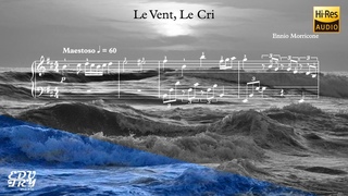 Ennio Morricone Le Vent Le Cri (Trance remix)