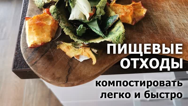 Компостировать фрукты и овощи: что можно а что