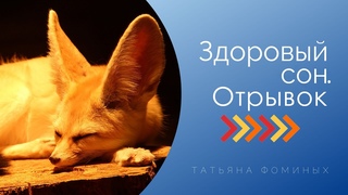 Здоровый сон. Отрывок
