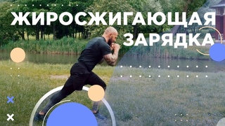Жиросжигающая зарядка с Павлом Сыроежкиным 💪🏼