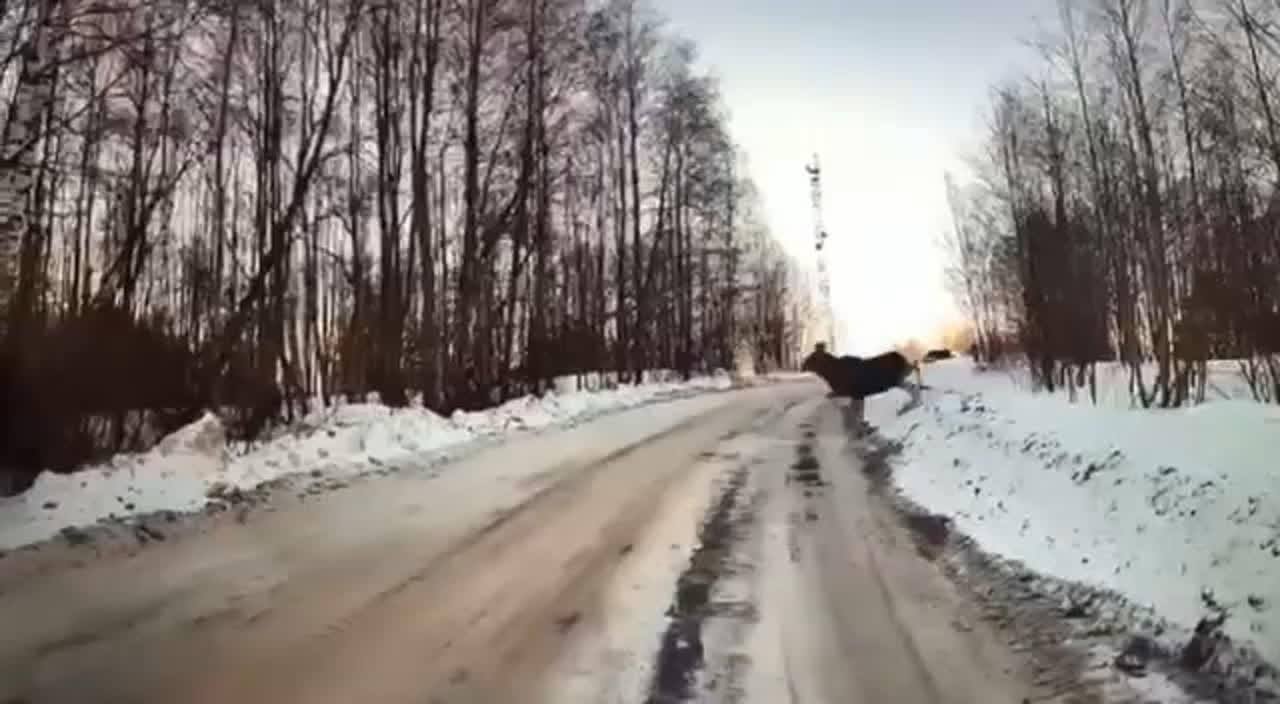 Лучшее видео на дорогах. Загородная трасса. Лучшее видео на дорогах. Лучшее видео на дорогах. Дорога в норвегии.