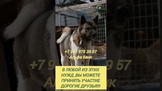 КАК НАЙТИ ВЫХОД ИЗ СИТУАЦИИ, БЕЗ ПОМОЩИ НЕ ПОЛУЧАЕТСЯ