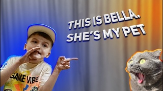 This is Bella. Шумаков Илья 2 “У“ класс