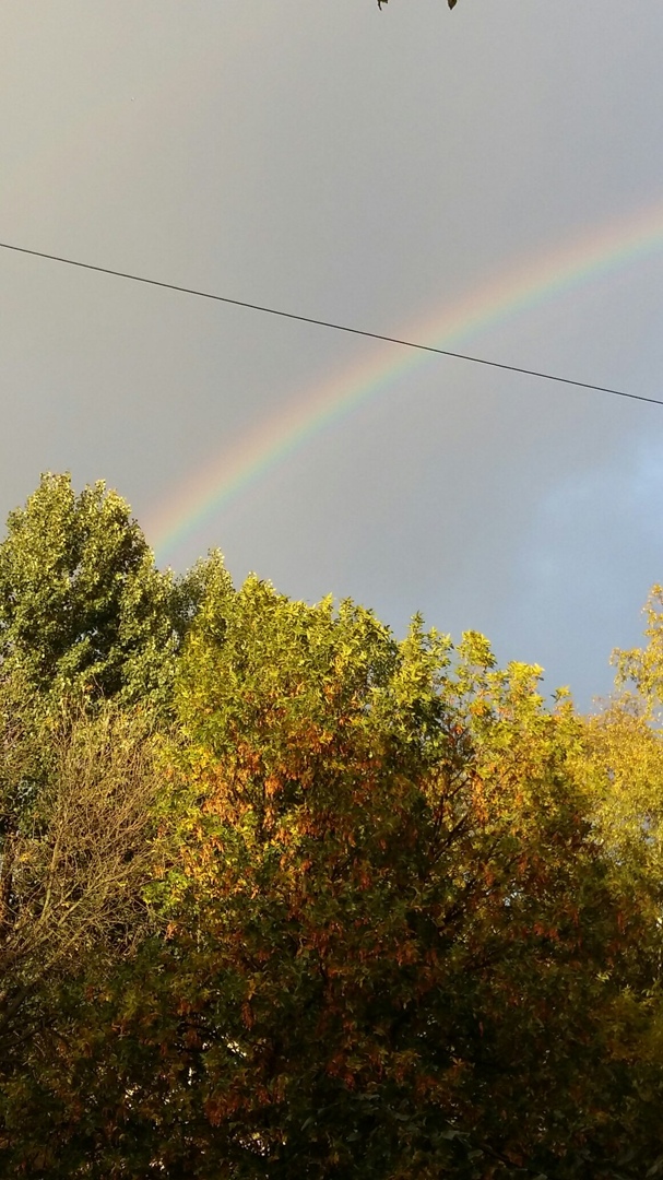 Светлана Шибаева | Санкт-Петербург