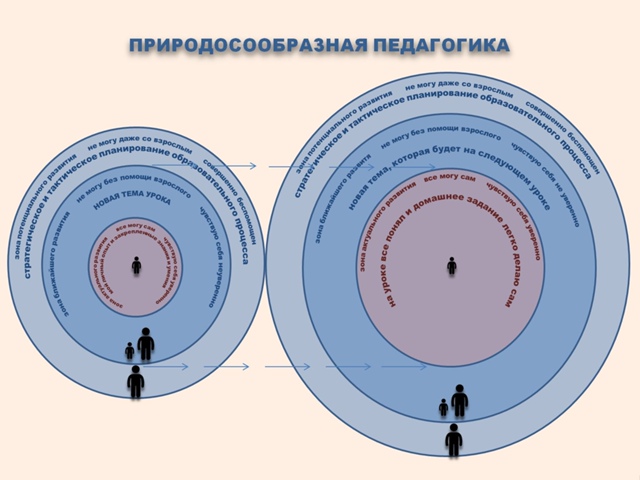 Уровень активного развития это: найдено 84 изображений