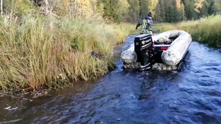 Шоча, сентябрь, утро.
