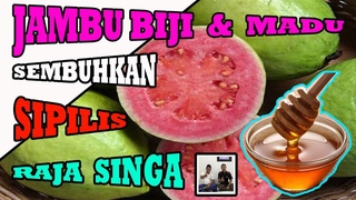 Obat Sipilis Atau Raja Singa Alami Paling Ampuh