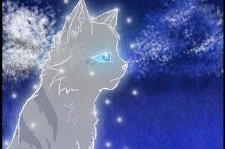 Feathertail mini PMV(HD)