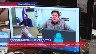 В ЗСНО прошло заседание комитета по бюджету и налогам