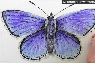 How to paint a realistic and detailed blue butterfly in watercolor by Anna Mason