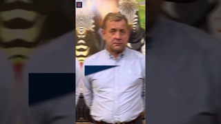 Тайган Шок! Львы загрызли сотрудника Тайгана#паркльвовтайган#олегзубков#тайган #гамадриллюся#люська