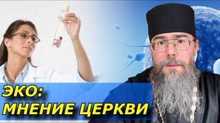 ЭКО: Экстракорпоральное Оплодотворение, Мнение Церкви. Женское Бесплодие и Проблемы Биоэтики.